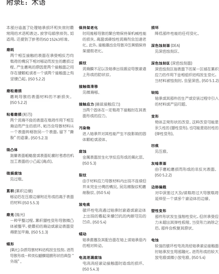 附录E：损伤分析术语图示
