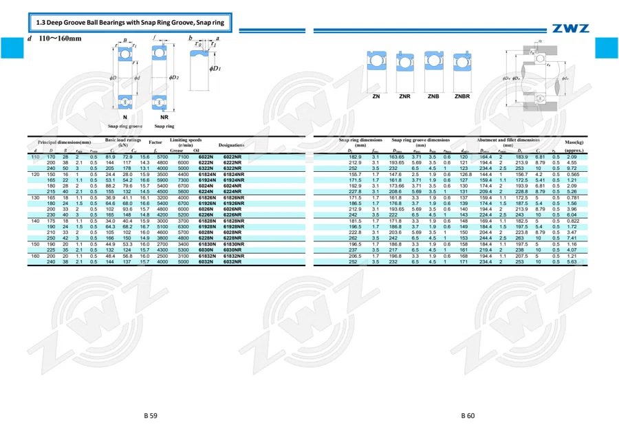 2025 General Catalogue (English translation) · 101