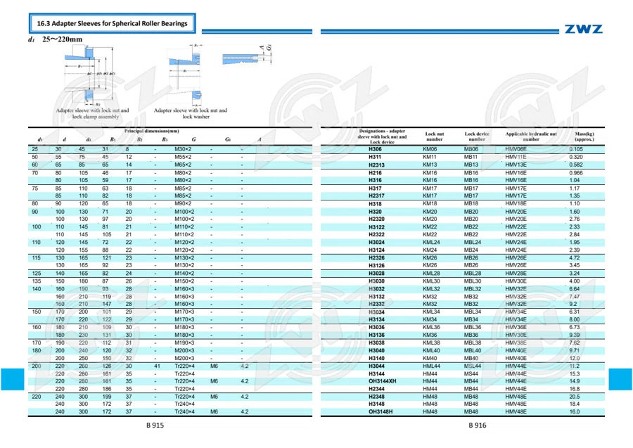 2025 General Catalogue (English translation) · 529