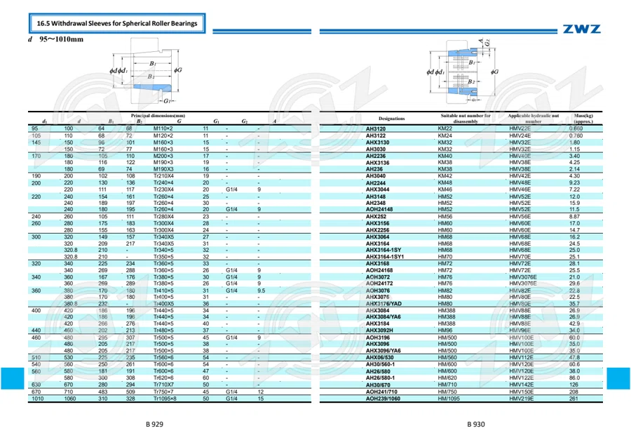 2025 General Catalogue (English translation) · 536