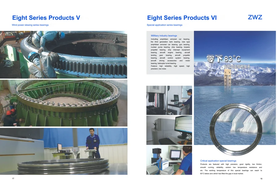 Group and product overview · 11