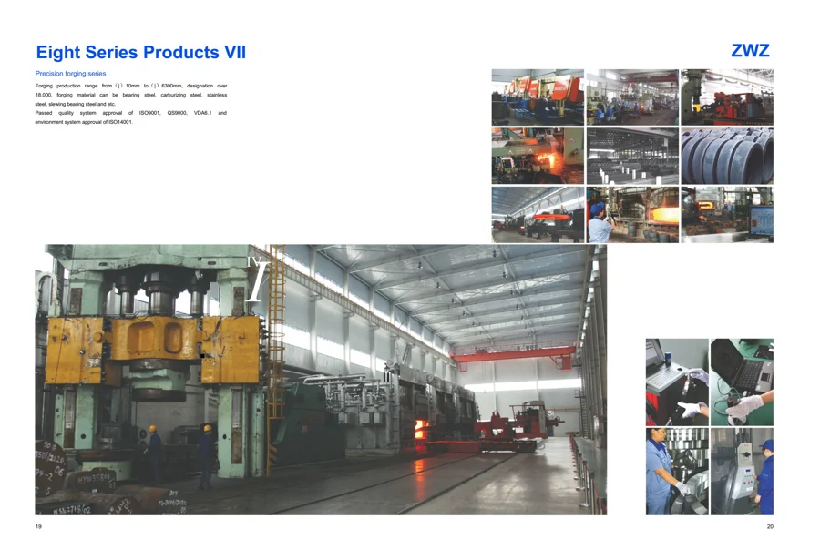 Group and product overview · 12